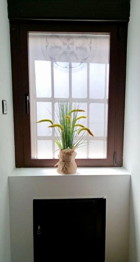 사모라 La Casita 빌라 외부 사진